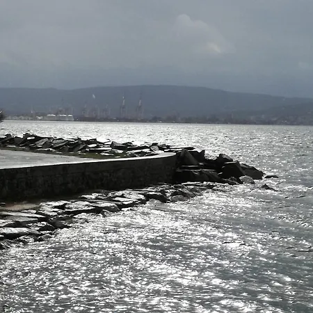 Skofije Ob Parenzani 旅馆 Spodnje Skofije