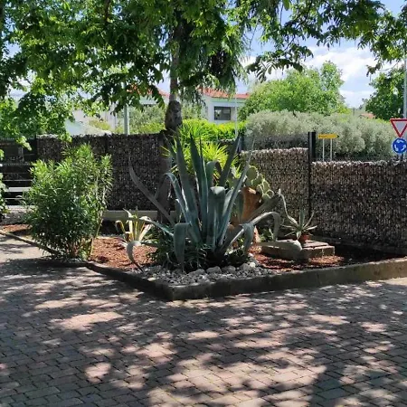 Skofije Ob Parenzani *