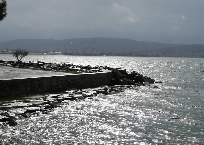 Skofije Ob Parenzani Auberge de jeunesse Spodnje Skofije