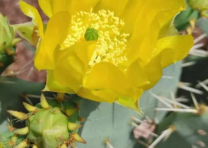 Skofije Ob Parenzani Auberge de jeunesse *